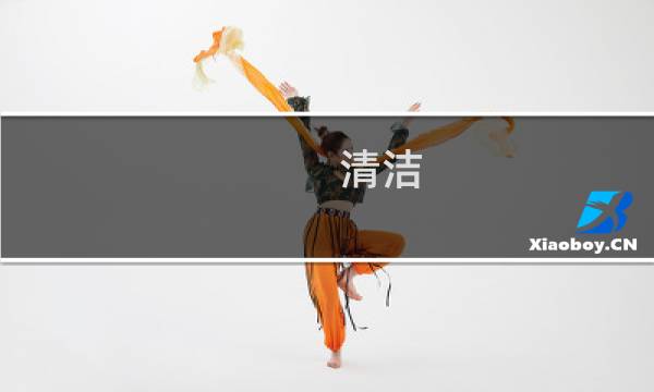 清洁 公司 - 清洁公司网